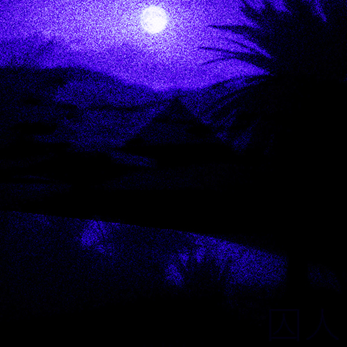 desert sand feels warm at night - Prisoner