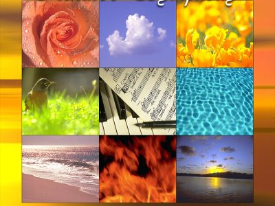 Nature's Symphony by Clifford White